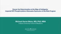 Thumbnail for Human Sex Determination at the Edge of Ambiguity: Impaired SRY Phosphorylation Attenuates Expression of the Male Program