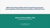 Thumbnail for PROP1 Directs Pituitary Differentiation through Protein Interaction and for Regulation of Gene Expression Involved in an EMT-Like Process