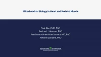 Thumbnail for Mitochondrial Biology in Heart and Skeletal Muscle