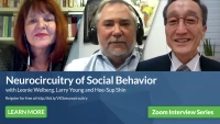 Thumbnail for Neurocircuitry of Social Behavior