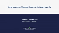 Thumbnail for Clonal Dynamics of Germinal Centers in the Steady-State Gut