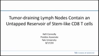 Thumbnail for Short Talk: Tumor-Draining Lymph Nodes Contain an Untapped Reservoir of Stem-Like CD8 T Cells