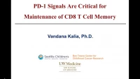 Thumbnail for Short Talk: PD-1 Signals Are Critical for Maintenance of CD8 T Cell Memory