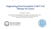 Thumbnail for Engineering Next-Generation CAR-T Cell Therapy for Cancer