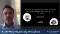 Thumbnail for Epigenetic Features of Exhausted Antitumor T Cells