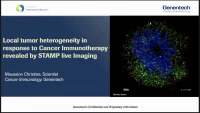 Thumbnail for Short Talk: Local Heterogeneity of Response to CIT: Learning from the STAMP Live Imaging Model