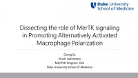 Thumbnail for Short Talk: Dissecting the Role of MerTK Signaling in Promoting Alternatively Activated Macrophages Polarization