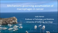 Thumbnail for Mechanisms Governing Accumulation of Macrophages in Cancer