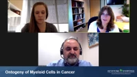 Thumbnail for Ontogeny of Myeloid Cells in Cancer