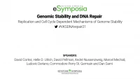 Thumbnail for Replication and Cell Cycle Dependent Mechanisms of Genome Stability