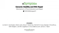 Thumbnail for Mechanisms of Recombination and Repair