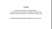 Thumbnail for Metabolic Regulation of Myeloid Derived Suppressor Cells in Cancer