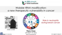 Thumbnail for Short Talk: Wobble tRNA Modification and Translation Reprogramming in the Tumour Microenvironment during Breast Cancer Development