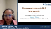 Thumbnail for Short Talk: Matrisome Signatures in GBM Heterogeneity