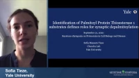 Thumbnail for Short Talk: Identification of Palmitoyl Protein Thioesterase Substrates Defines Roles for Synaptic Depalmitoylation