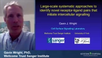 Thumbnail for Large-Scale Systematic Approaches to Identify Novel Receptor-Ligand Pairs that Initiate Intercellular Signaling