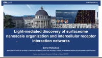 Thumbnail for Light-Mediated Discovery of Surfaceome Nanoscale Organization and Inter-Cellular Receptor Interaction Networks