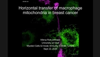 Thumbnail for Horizontal Transfer of Macrophage Mitochondria in Cancer