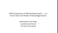Thumbnail for Short Talk: SPACE Exploration of RNA-Binding Proteins Reveals Diminished Chromatin-Binding of Mutant VCP in a Human Stem Cell Model of Neurodegeneration