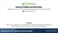 Thumbnail for Mechanisms that Maintain Genome Stability