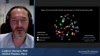 Thumbnail for Short Talk: Repair of G1 Induced DNA Double-Strand Breaks in S-G2/M Promotes Cell Survival at the Expense of Genome Integrity