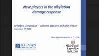 Thumbnail for New Players in the Alkylation Damage Response