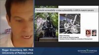 Thumbnail for Chromatin Accessibility - A New Vulnerability in BRCA Mutant Cancers