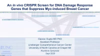 Thumbnail for Short Talk: An in vivo Genetic Screen for Tumor Suppressive DNA Damage Responses in Myc-Induced Breast Cancer