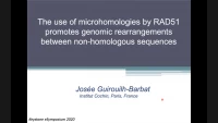 Thumbnail for Short Talk: The Use of Microhomologies by RAD51 Promotes Genomic Rearrangements between Non Homologous Sequences
