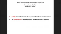 Thumbnail for Strange Tales of Genomic Instability: eccDNAs and Life without ORC