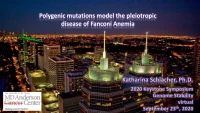 Thumbnail for Polygenic Mutations Model the Pleiotropic Disease of Fanconi Anemia