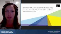 Thumbnail for Short Talk: Dynamics of FOXL2 Gene Regulation in the Mouse Ovary