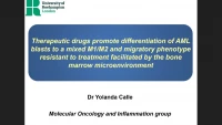 Thumbnail for Short Talk: Therapeutic Drugs Promote Differentiation of AML Blasts to a Mixed M1/M2 and Migratory Phenotype Resistant to Treatment Facilitated by the Bone Marrow Microenvironment.