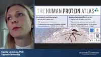 Thumbnail for The Human Protein Atlas – Integrated Omics for Single Cell Analysis