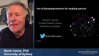Thumbnail for Personalised Phosphoproteomics – Studying the Exercise Response in Individuals