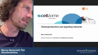 Thumbnail for Chemoproteomics for the Elucidation of Signaling Networks