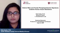 Thumbnail for Short Talk: Distinct Male and Female Phosphoproteomic Signatures Underlie Human Insulin Resistance