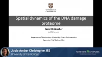 Thumbnail for Spatial Dynamics of the DNA Damage Proteome