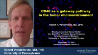 Thumbnail for CD40 as a Gateway Pathway in the Tumor Microenvironment