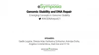 Thumbnail for Emerging Concepts in Genome Stability