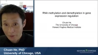 Thumbnail for Keynote Address | Reversible RNA Methylation in Gene Expression Regulation