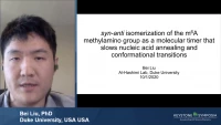 Thumbnail for Short Talk: Syn-Anti Isomerization of the m6A Methylamino Group as a Molecular Timer that Slows Nucleic Acid Annealing and Conformational Transitions