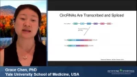 Thumbnail for Circular RNA Immunity
