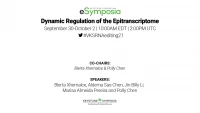 Thumbnail for Dynamic Regulation of the Epitranscriptome
