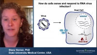 Thumbnail for RNA Methylation in Viral Infection