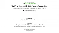 Thumbnail for "Self" vs "Non-Self" RNA Pattern Recognition