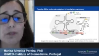 Thumbnail for Short Talk: Lack of m5U Modification in tRNAs Induces the Formation of tRNA-Derived Fragments