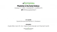 Thumbnail for Plasticity in the Early Embryo