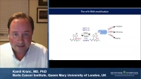 Thumbnail for Targeting m6A mRNA Readers in Blood Malignancies