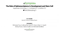 Thumbnail for The Role of Epitranscriptome in Development and Stem Cell
